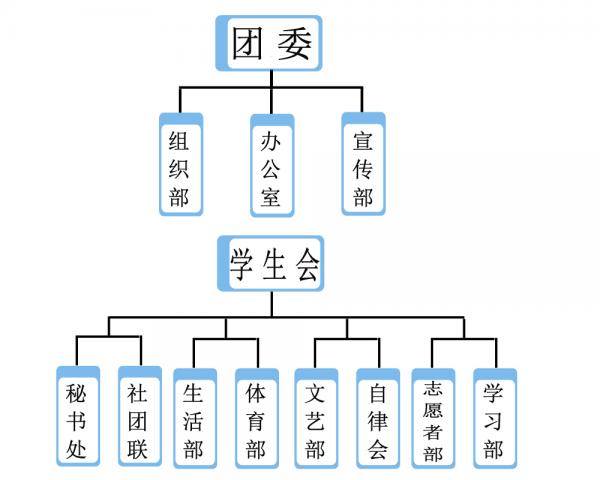 组织结构图副本.jpg